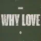 WHY LOVE